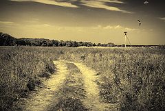 photo "***"