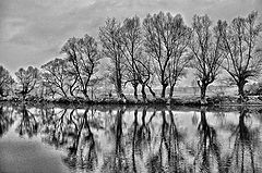 photo "enjoy the silence"