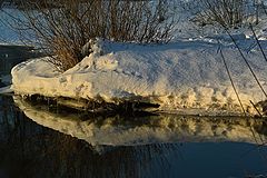 фото "первые признаки весны"