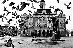фото "Lords of the square"