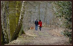 фото "relaxing stroll"