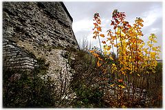photo "***"