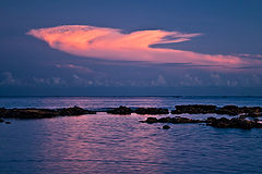 photo "Bali. Dawn. Low-tide."