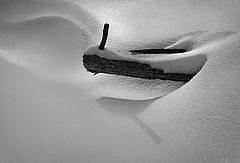 photo "about that, where Pinocchio winters"