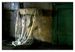 фото "Fallen Angels"