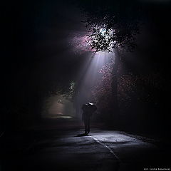 фото "light and darkness"