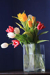 photo "Morning of spring"