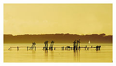 photo "vela"
