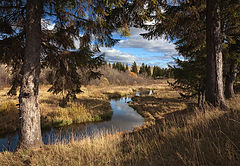 фото "Сказочная осень"