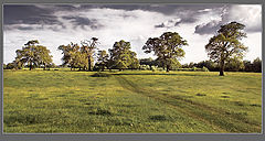 photo "***"