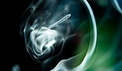 photo "***"