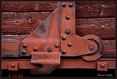 photo "detail"