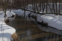 photo "***"