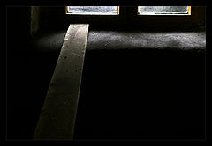 фото "The Day After"