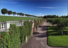 photo "Peterhof"