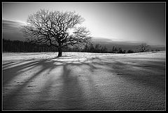 photo "***"