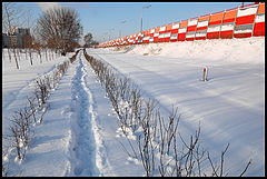 фото "Параллельные пути"