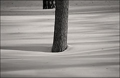 photo "***"