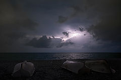 photo "***"