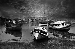 photo "tide"