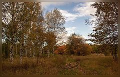photo "***"