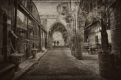 фото "Yaffo 3844"