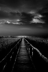 photo "/|\"