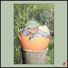 photo "fresh egg"