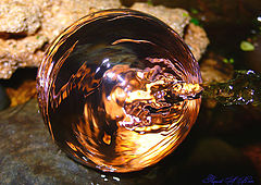 фото "Круглая вода"
