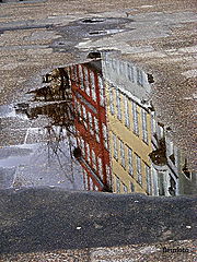 фото "Reflection."