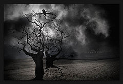 фото "Moonwalker"