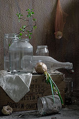 photo "***"