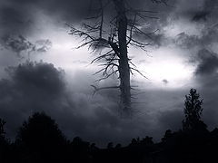 photo "***"