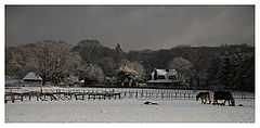 photo "***"