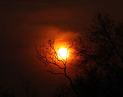 photo "nature, sunset, night"