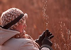 фото "Ну вот и Вербное !"