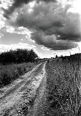 photo "***"