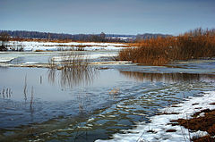 photo "The Ice has gone to a way"