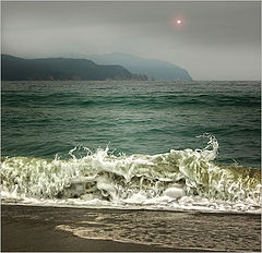 photo "***"