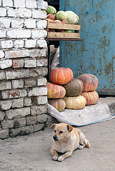 фото "На страже"