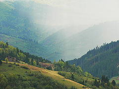 photo "In anticipation of bad weather"