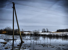 фото "Весенний шаг"