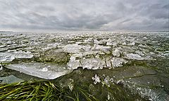 фото "Весенняя прогулка"