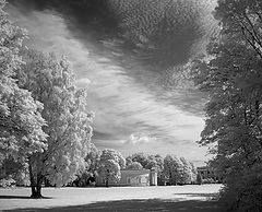 photo "IR-Summer"