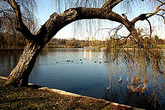 photo "Natural arch / Природные aрк"