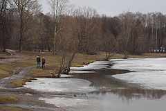 photo "***"