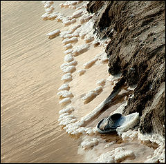 photo "salt...."