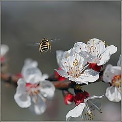 photo "It seems a rain begins..."