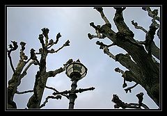 photo "***"