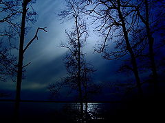 photo "***"